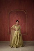 GREEN ORGANZA CAPE WITH SHARARA SET