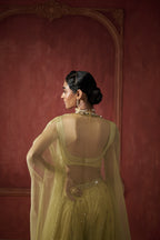 GREEN ORGANZA CAPE WITH SHARARA SET